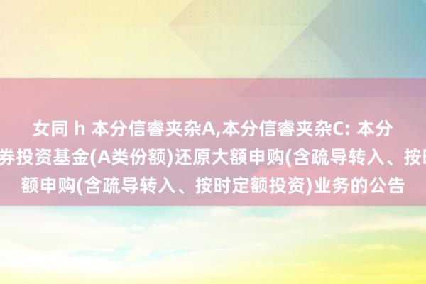 女同 h 本分信睿夹杂A,本分信睿夹杂C: 本分信睿中枢精选夹杂型证券投资基金(A类份额)还原大额申购(含疏导转入、按时定额投资)业务的公告