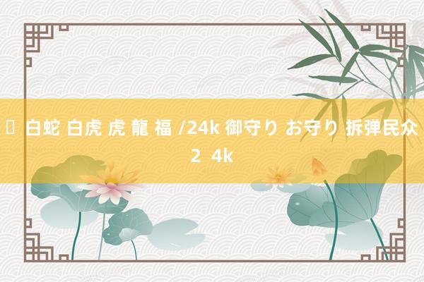 ✨白蛇 白虎 虎 龍 福 /24k 御守り お守り 拆弹民众2  4k