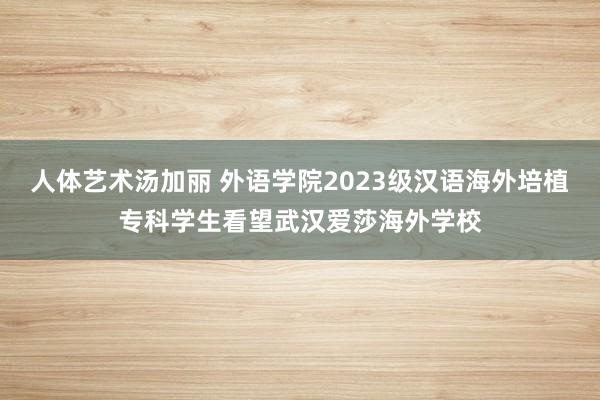 人体艺术汤加丽 外语学院2023级汉语海外培植专科学生看望武汉爱莎海外学校