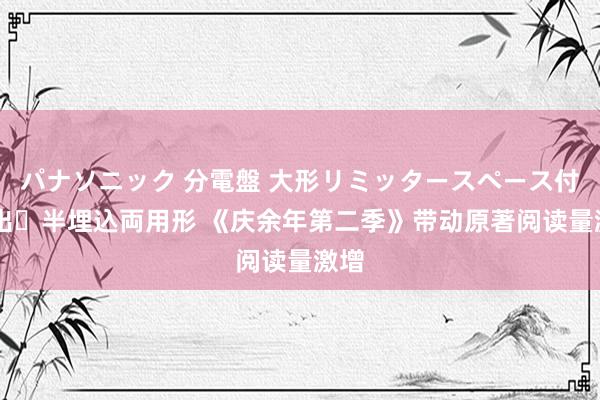 パナソニック 分電盤 大形リミッタースペース付 露出・半埋込両用形 《庆余年第二季》带动原著阅读量激增