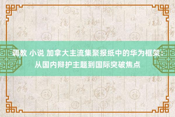 调教 小说 加拿大主流集聚报纸中的华为框架：从国内辩护主题到国际突破焦点