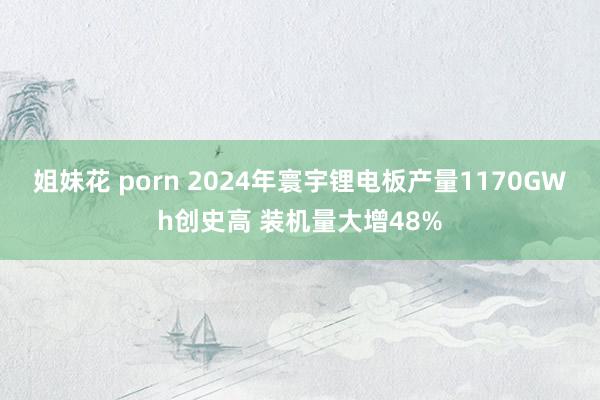 姐妹花 porn 2024年寰宇锂电板产量1170GWh创史高 装机量大增48%