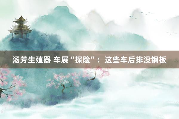 汤芳生殖器 车展“探险”：这些车后排没钢板