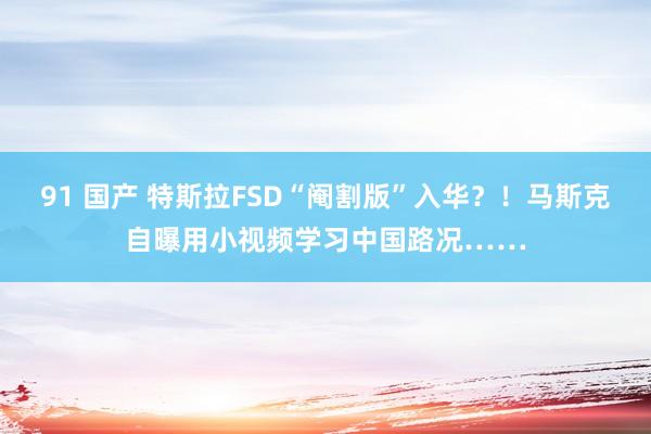 91 国产 特斯拉FSD“阉割版”入华？！马斯克自曝用小视频学习中国路况……