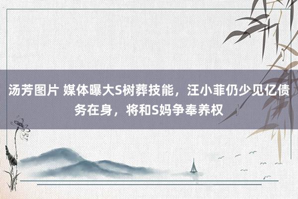 汤芳图片 媒体曝大S树葬技能，汪小菲仍少见亿债务在身，将和S妈争奉养权