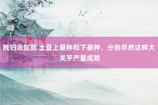 贱妇汤加丽 土豆上昼种和下昼种，分别尽然这样大 关乎产量成败