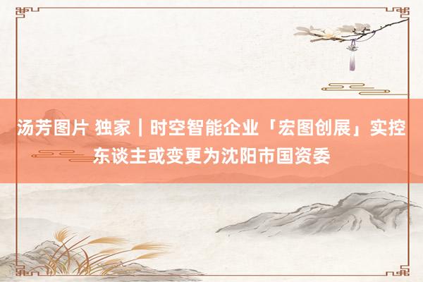 汤芳图片 独家｜时空智能企业「宏图创展」实控东谈主或变更为沈阳市国资委