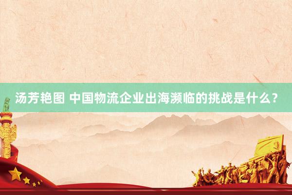 汤芳艳图 中国物流企业出海濒临的挑战是什么？