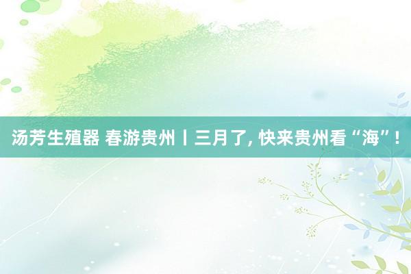 汤芳生殖器 春游贵州丨三月了， 快来贵州看“海”!